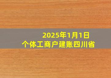 2025年1月1日个体工商户建账四川省