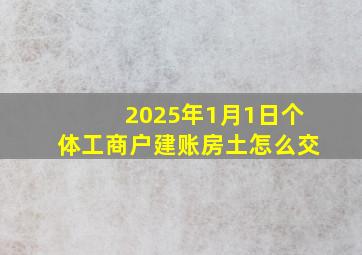 2025年1月1日个体工商户建账房土怎么交