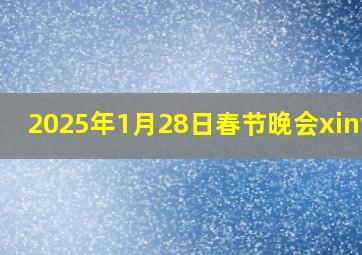 2025年1月28日春节晚会xinwen