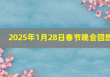 2025年1月28日春节晚会回放