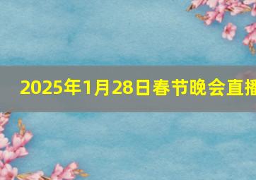 2025年1月28日春节晚会直播