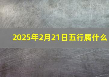 2025年2月21日五行属什么