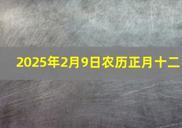 2025年2月9日农历正月十二