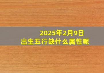 2025年2月9日出生五行缺什么属性呢