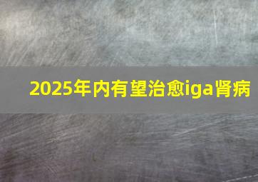 2025年内有望治愈iga肾病