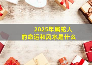 2025年属蛇人的命运和风水是什么