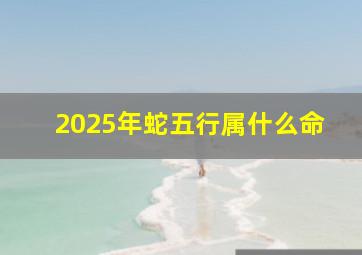 2025年蛇五行属什么命