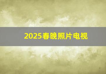 2025春晚照片电视