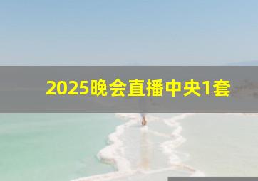 2025晚会直播中央1套