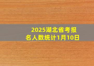 2025湖北省考报名人数统计1月10日