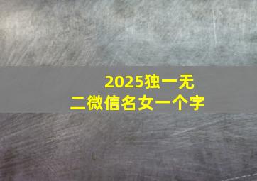 2025独一无二微信名女一个字