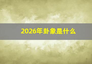 2026年卦象是什么