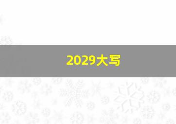 2029大写