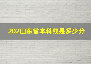 202山东省本科线是多少分