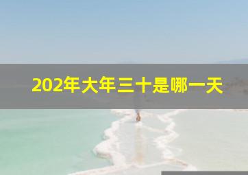 202年大年三十是哪一天