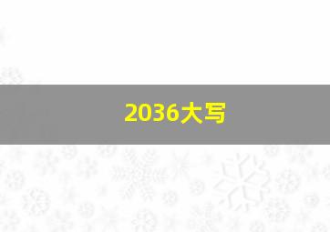 2036大写