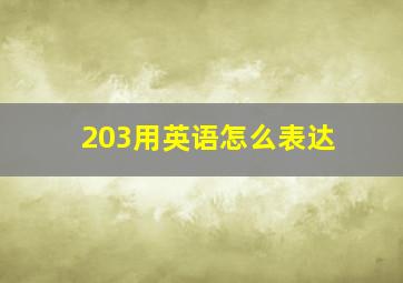 203用英语怎么表达