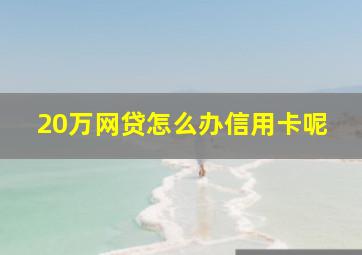 20万网贷怎么办信用卡呢