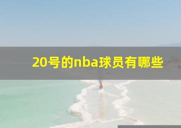 20号的nba球员有哪些