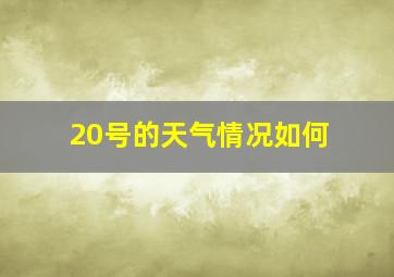 20号的天气情况如何