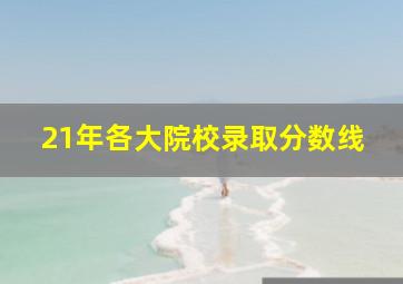 21年各大院校录取分数线