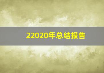 22020年总结报告