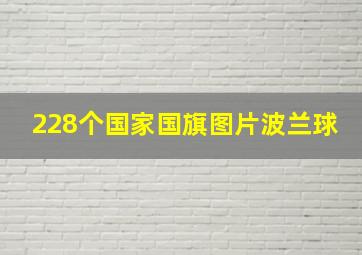 228个国家国旗图片波兰球