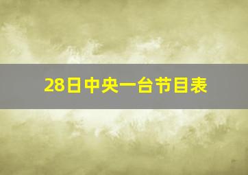 28日中央一台节目表