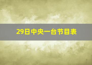 29日中央一台节目表