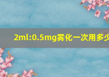 2ml:0.5mg雾化一次用多少