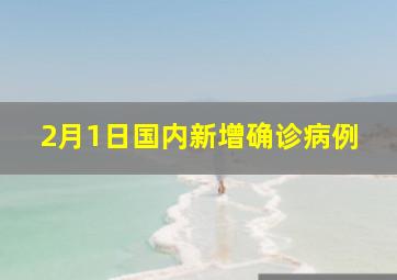 2月1日国内新增确诊病例