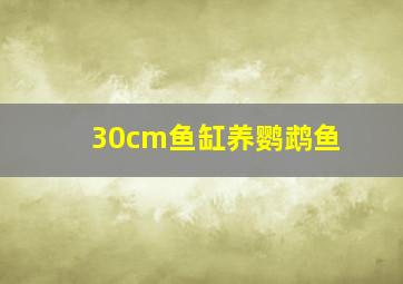 30cm鱼缸养鹦鹉鱼