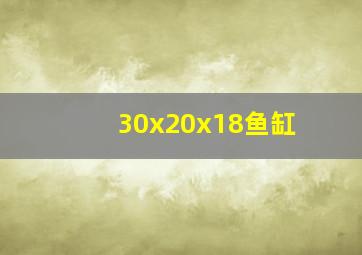 30x20x18鱼缸