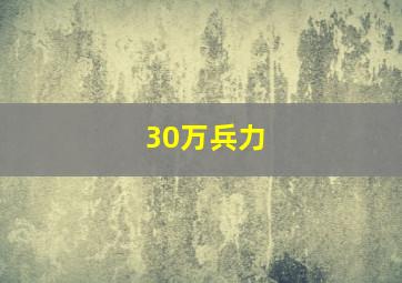 30万兵力