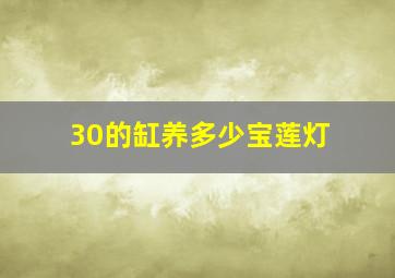 30的缸养多少宝莲灯