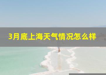 3月底上海天气情况怎么样