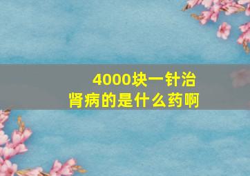 4000块一针治肾病的是什么药啊