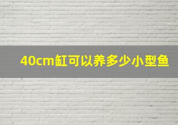 40cm缸可以养多少小型鱼