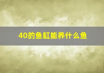 40的鱼缸能养什么鱼