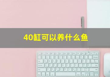 40缸可以养什么鱼