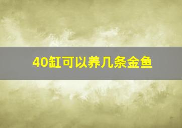 40缸可以养几条金鱼