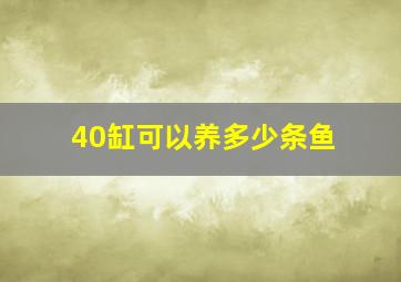 40缸可以养多少条鱼