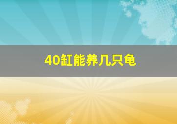 40缸能养几只龟