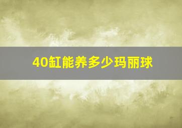 40缸能养多少玛丽球