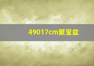 49017cm聚宝盆