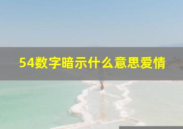 54数字暗示什么意思爱情