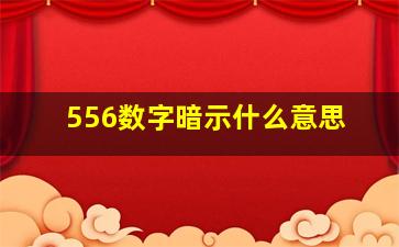 556数字暗示什么意思