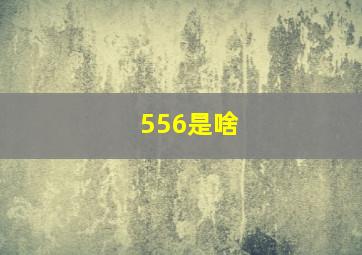 556是啥