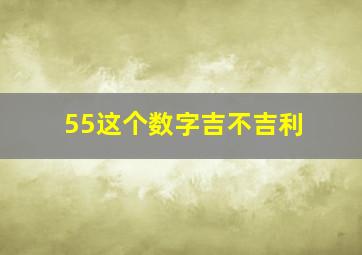 55这个数字吉不吉利