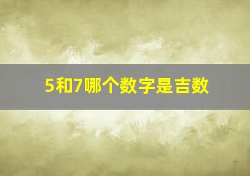 5和7哪个数字是吉数